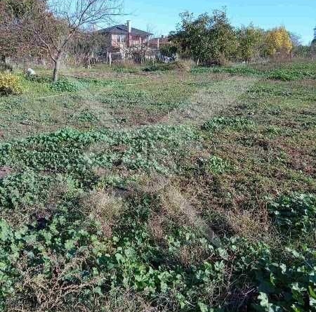 Парцел в с. Гълъбец, Област Бургас - 1000 кв.м за 13 €/кв.м - Снимка #1