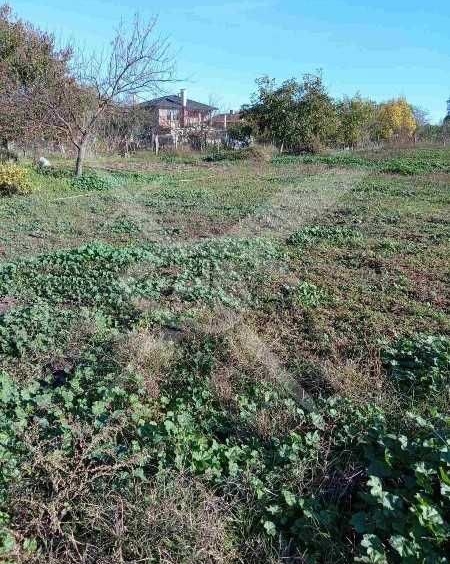 Парцел в с. Гълъбец, Област Бургас - 1000 кв.м за 13 €/кв.м - Снимка #1