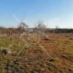 Парцел в с. Дюлево, Област Бургас - 2915 кв.м за 11 €/кв.м - Снимка #1