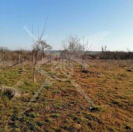 Парцел в с. Дюлево, Област Бургас - 2915 кв.м за 11 €/кв.м - Снимка #1