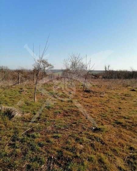 Парцел в с. Дюлево, Област Бургас - 2915 кв.м за 11 €/кв.м - Снимка #1