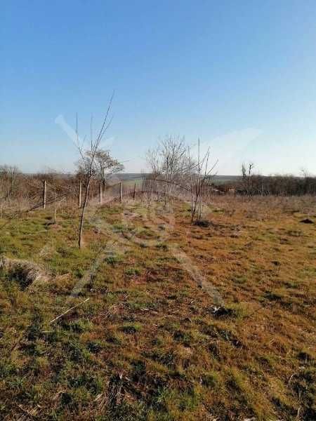 Парцел в с. Дюлево, Област Бургас - 2915 кв.м за 11 €/кв.м - Снимка #1