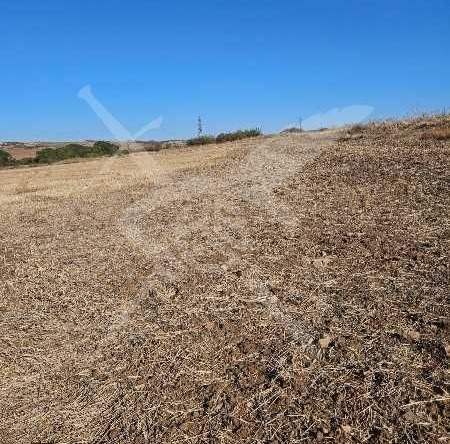 Парцел в с. Черни връх, Област Бургас - 3219 кв.м за 20 €/кв.м - Снимка #1