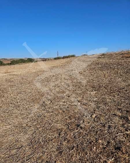 Парцел в с. Черни връх, Област Бургас - 3219 кв.м за 20 €/кв.м - Снимка #1