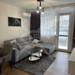 Дава се под наем Двустаен апартамент в Асеновград - 78 кв.м за 448.8 € - Снимка #1