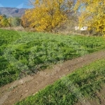 Парцел в с. Долнослав, Област Пловдив - 1028 кв.м за 16 €/кв.м - Снимка #1