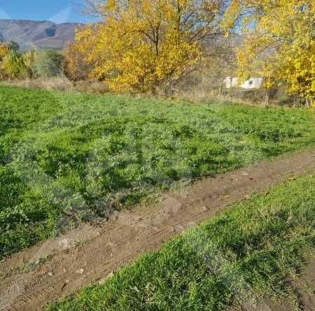 Парцел в с. Долнослав, Област Пловдив - 1028 кв.м за 16 €/кв.м - Снимка #1