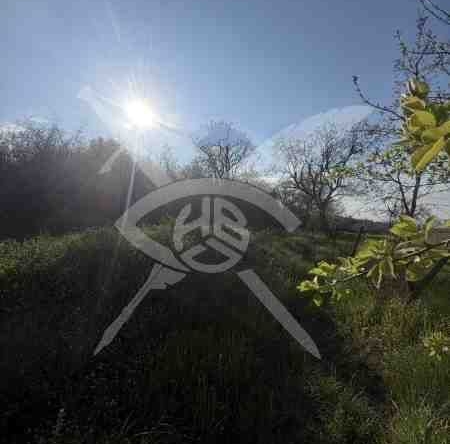 Парцел в с. Атия, Област Бургас - 3500 кв.м за 16 €/кв.м - Снимка #1