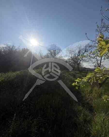 Парцел в с. Атия, Област Бургас - 3500 кв.м за 16 €/кв.м - Снимка #1