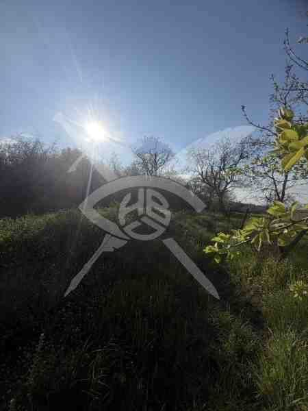 Парцел в с. Атия, Област Бургас - 3500 кв.м за 16 €/кв.м - Снимка #1