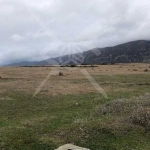 Парцел в с. Васил Левски, Област Пловдив - 9000 кв.м за 3 €/кв.м - Снимка #1