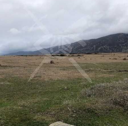 Парцел в с. Васил Левски, Област Пловдив - 9000 кв.м за 3 €/кв.м - Снимка #1