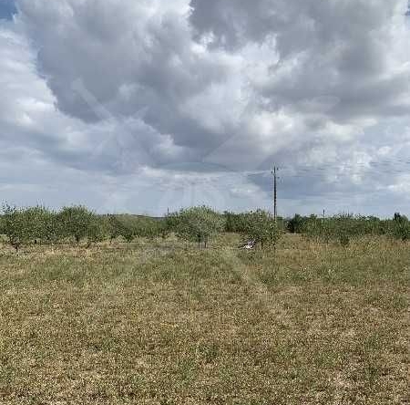 Парцел в с. Черничево, Област Пловдив - 5220 кв.м за 1 €/кв.м - Снимка #1