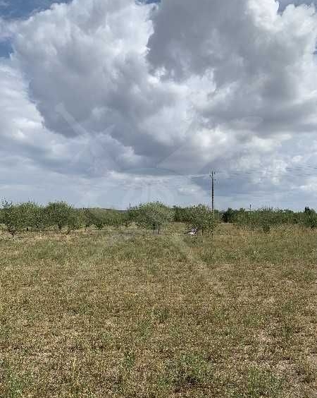 Парцел в с. Черничево, Област Пловдив - 5220 кв.м за 1 €/кв.м - Снимка #1