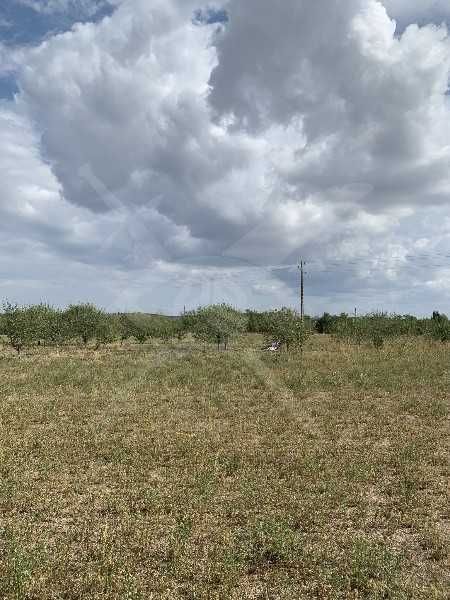 Парцел в с. Черничево, Област Пловдив - 5220 кв.м за 1 €/кв.м - Снимка #1