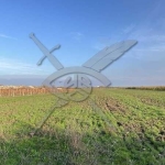 Парцел в с. Брестник, Област Пловдив - 3150 кв.м за 7 €/кв.м - Снимка #1