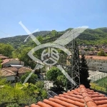 Къща в Асеновград - 410 кв.м за 559 €/кв.м - Снимка #1