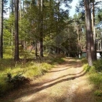 Парцел в София, Хладилника - 9300 кв.м за 10 €/кв.м - Снимка #1