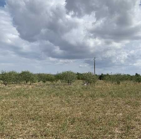 Парцел в с. Черничево, Област Кърджали - 5220 кв.м за 2 €/кв.м - Снимка #1