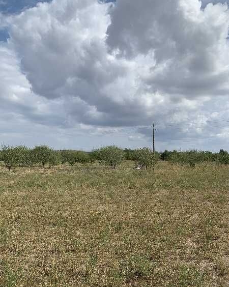 Парцел в с. Черничево, Област Кърджали - 5220 кв.м за 2 €/кв.м - Снимка #1