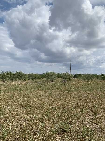 Парцел в с. Черничево, Област Кърджали - 5220 кв.м за 2 €/кв.м - Снимка #1