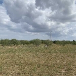 Парцел в с. Черничево, Област Пловдив - 5220 кв.м за 2 €/кв.м - Снимка #1