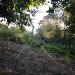 Парцел в Садово - 2070 кв.м за 13 €/кв.м - Снимка #1