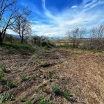 Парцел в Перущица - 29000 кв.м за 1 €/кв.м - Снимка #1