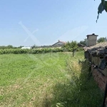 Парцел в с. Цалапица, Област Пловдив - 1350 кв.м за 42 €/кв.м - Снимка #1