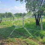 Парцел в с. Марково, Област Пловдив - 751 кв.м за 100 €/кв.м - Снимка #1