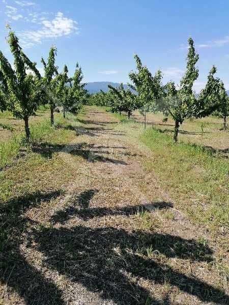 Парцел в с. Йоаким Груево, Област Пловдив - 2179 кв.м за 23 €/кв.м - Снимка #1