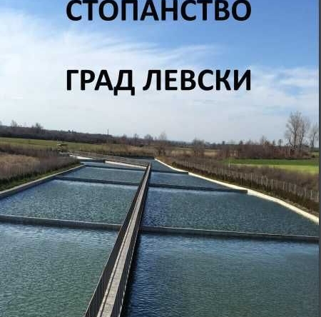 Промишлена сграда в Левски - 15000 кв.м за 21 €/кв.м - Снимка #1