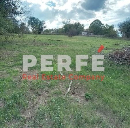 Парцел в с. Драчево, Област Бургас - 940 кв.м за 11 €/кв.м - Снимка #1