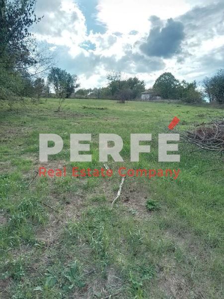 Парцел в с. Драчево, Област Бургас - 940 кв.м за 11 €/кв.м - Снимка #1