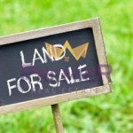 Парцел в с. Звездица, Област Варна - 600 кв.м за 82 €/кв.м - Снимка #1