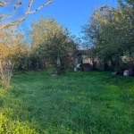 Парцел в с. Бранище, Област Добрич - 500 кв.м за 12 €/кв.м - Снимка #1