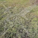 Парцел в с. Тополово, Област Пловдив - 936 кв.м за 34 €/кв.м - Снимка #1