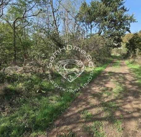 Парцел в Варна, Изгрев - 1023 кв.м за 45 €/кв.м - Снимка #1