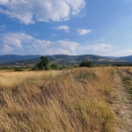 Парцел в с. Брестник, Област Пловдив - 4949 кв.м за 31 €/кв.м - Снимка #1