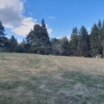 Парцел в с. Добралък, Област Пловдив - 8200 кв.м за 30 €/кв.м - Снимка #1