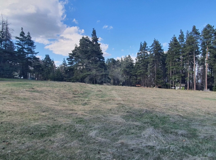 Парцел в с. Добралък, Област Пловдив - 8200 кв.м за 30 €/кв.м - Снимка #1