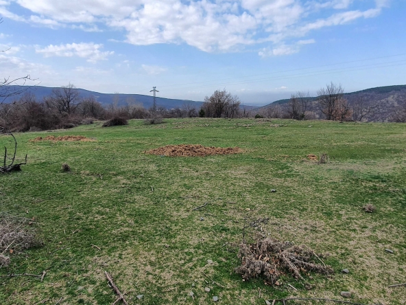 Парцел в с. Извор, Област Пловдив - 1660 кв.м за 20 €/кв.м - Снимка #1