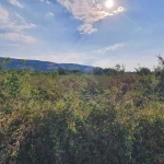 Парцел в с. Брестник, Област Пловдив - 630 кв.м за 38 €/кв.м - Снимка #1