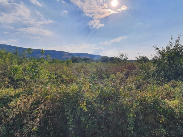 Парцел в с. Брестник, Област Пловдив - 630 кв.м за 38 €/кв.м - Снимка #1