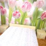 Дава се под наем Тристаен апартамент в София, Надежда 2 - 65 кв.м за 510 € - Снимка #1