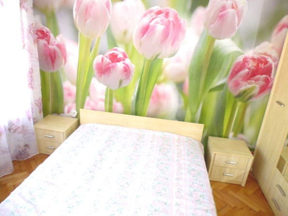 Дава се под наем Тристаен апартамент в София, Надежда 2 - 65 кв.м за 510 € - Снимка #1