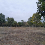 Парцел в Монтана, в.з. Запад - 1900 кв.м за 38 €/кв.м - Снимка #1