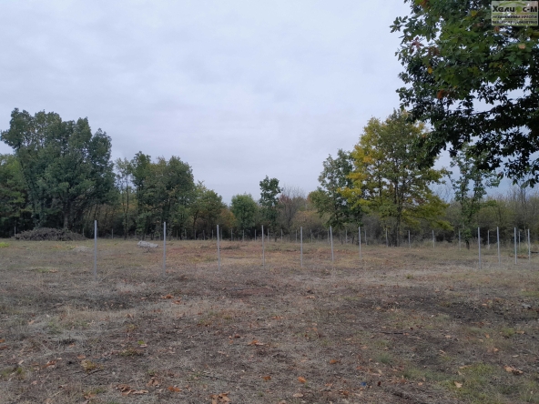 Парцел в Монтана, в.з. Запад - 1900 кв.м за 38 €/кв.м - Снимка #1