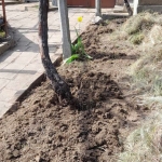 Къща в с. Главан, Област Стара Загора - 150 кв.м за 204 €/кв.м - Снимка #1