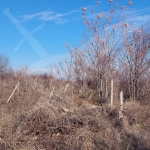 Парцел в с. Брестник, Област Пловдив - 6600 кв.м за 11 €/кв.м - Снимка #1